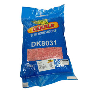 DK8031-DEKALB-Maize-Seed