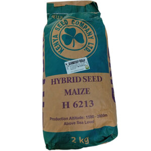H6213-Maize-Seed