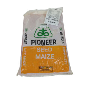 Pioneer-Maize-Seed